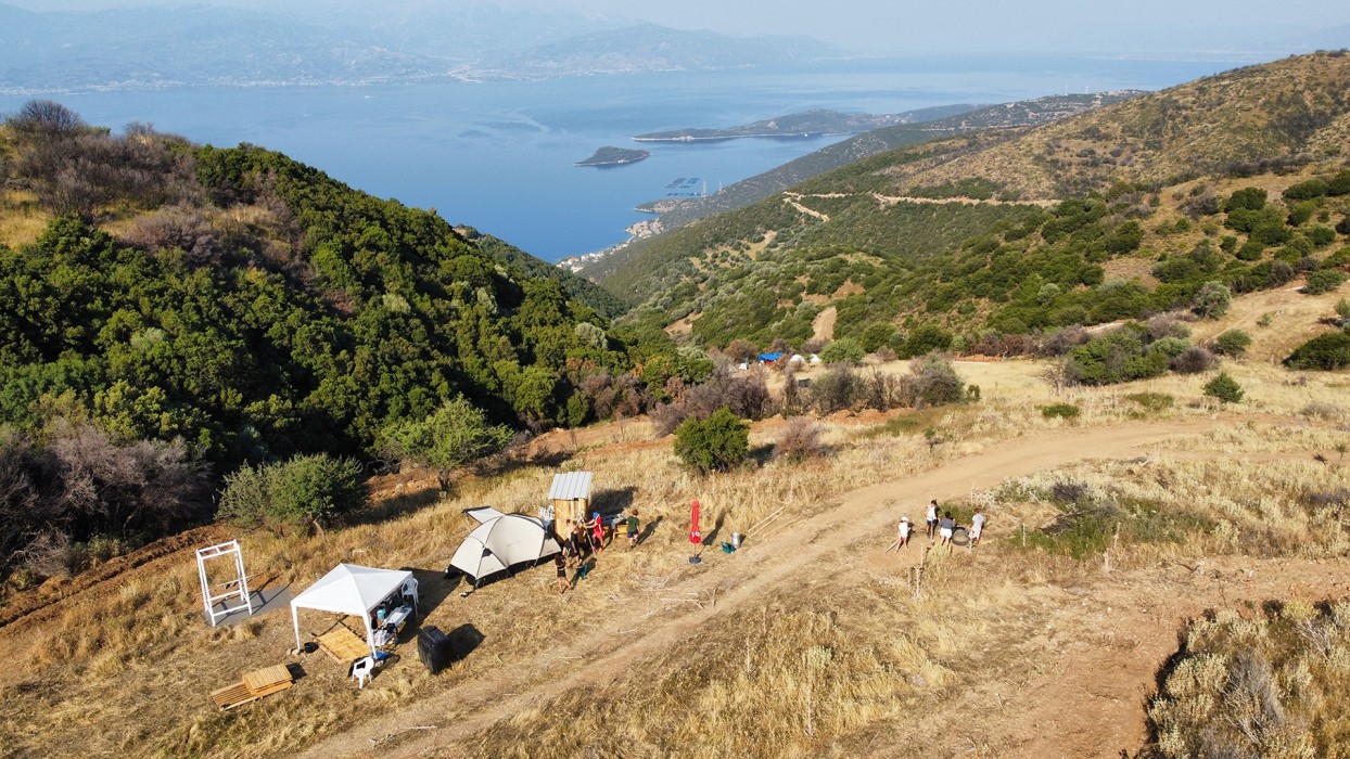 Δημιουργία καταφυγίου ζώων