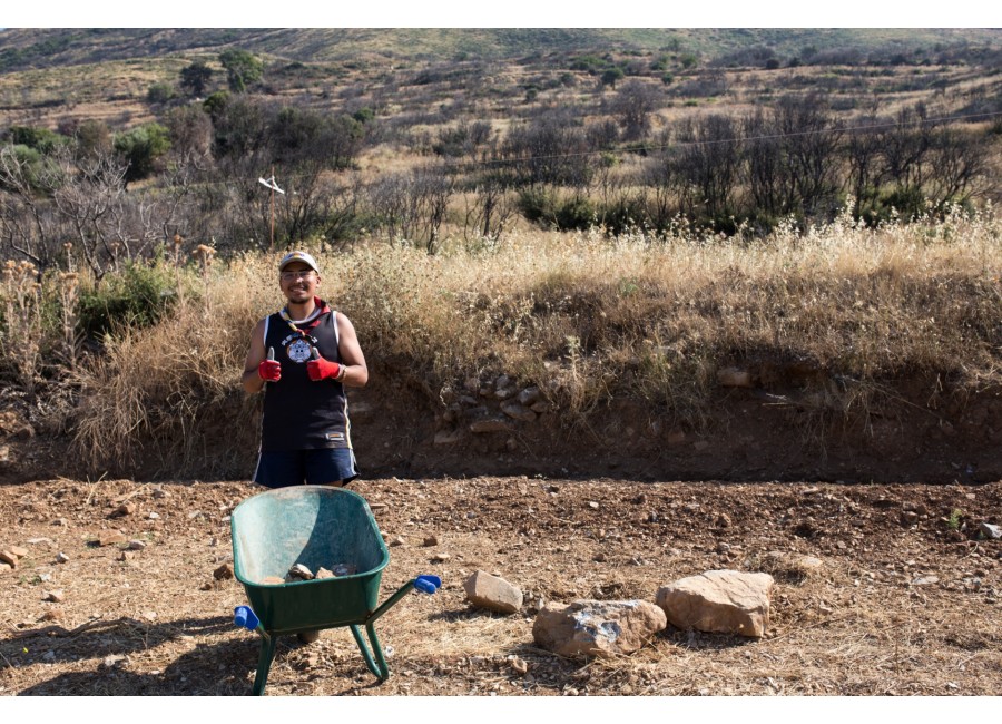 Δημιουργία καταφυγίου ζώων