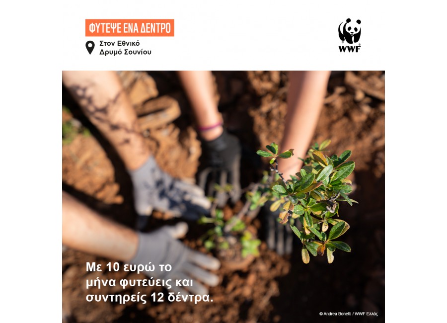 ΦΥΤΕΨΕ ΕΝΑ ΔΕΝΤΡΟ