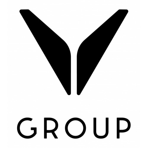 V Group 